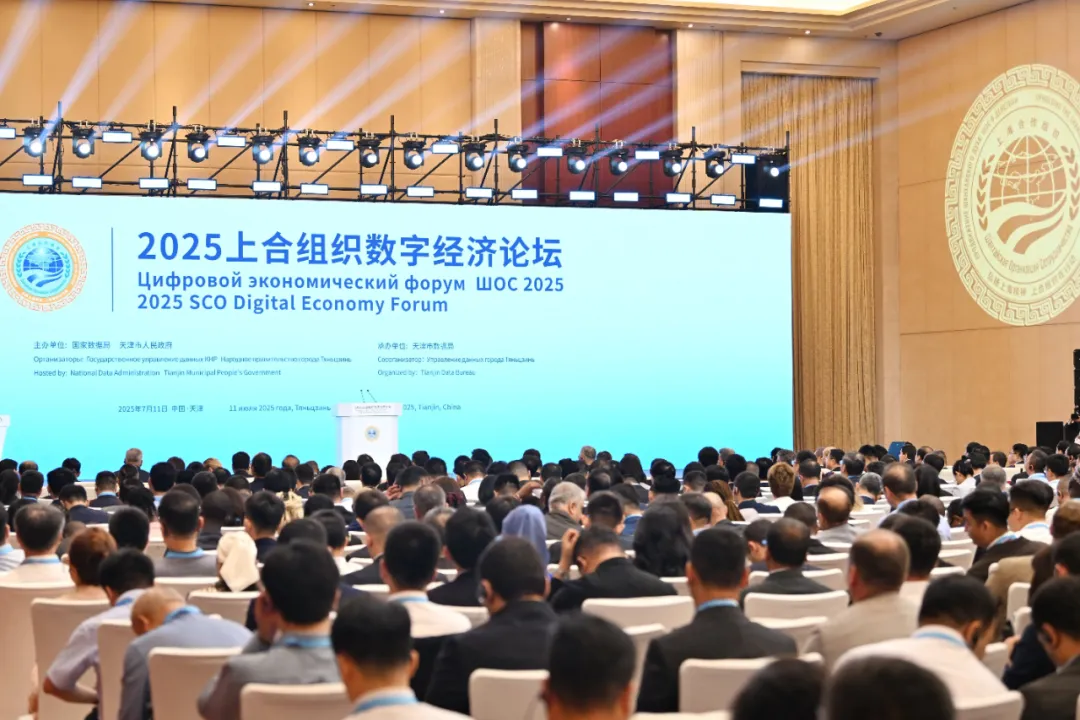 1763087589388586.jpg 642.jpg