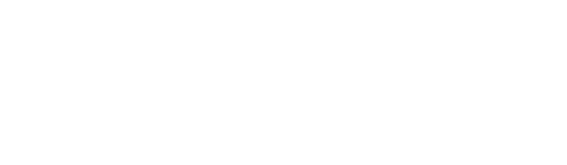 白字透明logo.png